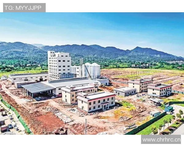 以前锋为中心,探讨现代企业如何通过创新与技术实现突破性发展